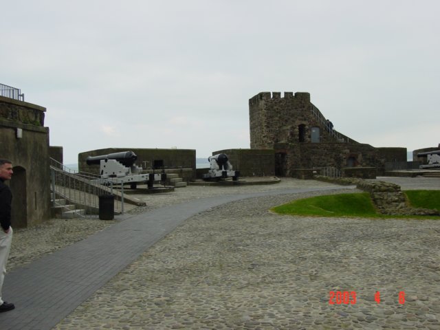 Photograph